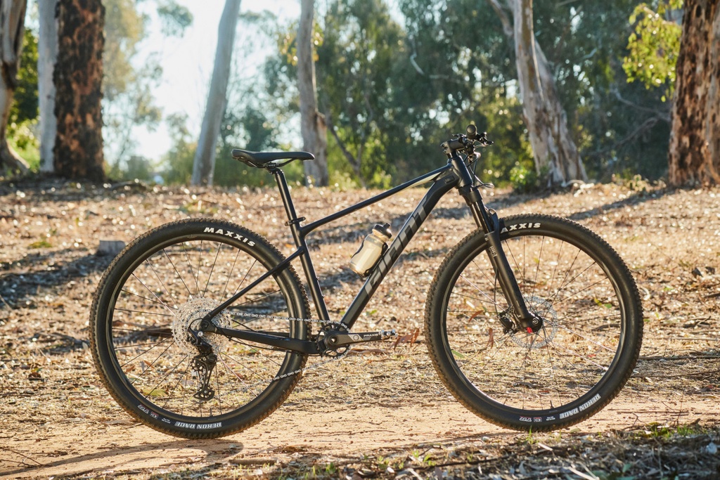 Giant XTC SLR 29 2 2022