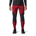 Fox Defend Pant Aurora Bordeaux