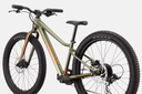 Cannondale Trail 24" Plus Mantis