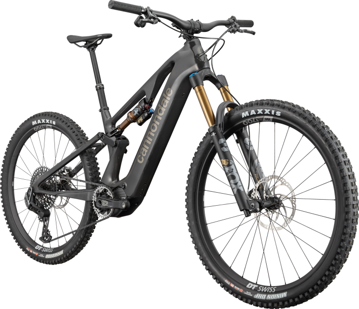 Cannondale Moterra Neo Carbone SL 1 Raw