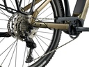 Giant Anytour X E+ 3 Pyrite Brown 625wh