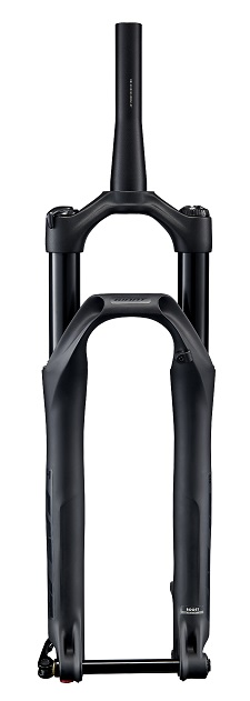 Fourche Giant Crest 34 RCL 100mm 29" Black