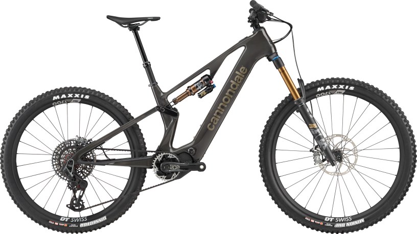 Cannondale Moterra Neo SL 1 Raw