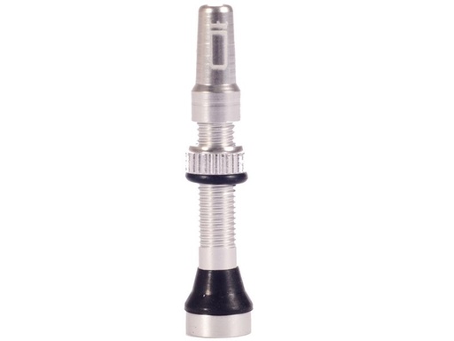 Paire de Valves Tubeless Duke Silver 44mm